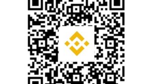 Binance Pay (OrderID) for SMM Panels